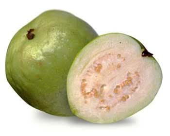 guava.jpg