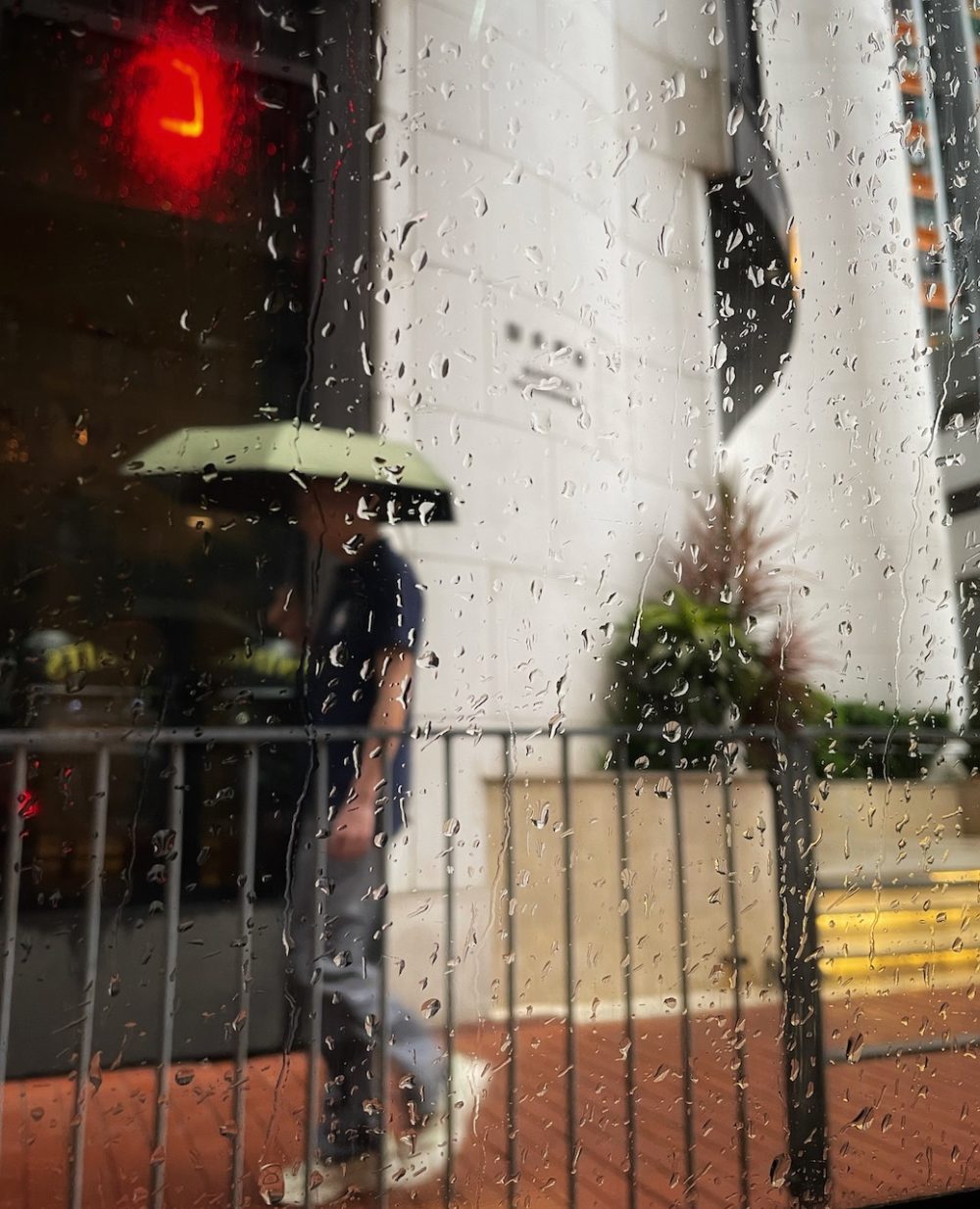 HK many with umbrella